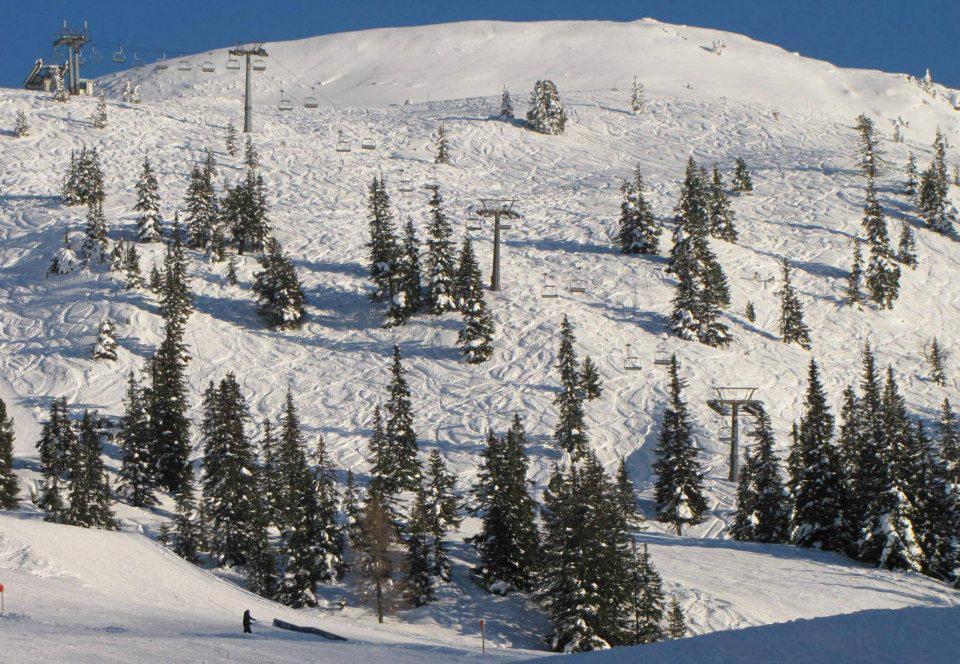Landgut Hotel Plannerhof Planneralm Esterno foto
